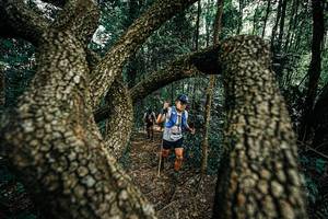 BIB: 
                            <button type="button" onclick="openModal(25392810)" class="btn btn-primary btn-sm float-right btn-popup" data-toggle="modal" data-target=".modal-high-quality">
                        <i class="fas fa-shopping-cart"></i> Add to Cart
                    </button>
                                            <button type="button" onclick="isThisMe(25392810, true)" class="btn btn-success btn-sm float-right btn-popup btn-isme hidden" data-toggle="tooltip" data-placement="bottom" title="นี่คือรูปของคุณใช่ไหม คลิกที่นี่เพื่อเอาเข้าอัลบั้ม">
                        <i class="fas fa-plus"></i> Add to album
                    </button>
                    <button type="button" onclick="isThisMe(25392810, false)" class="btn btn-warning btn-sm float-right btn-popup btn-isnotme hidden">
                        <i class="fas fa-ban"></i> Remove from album
                    </button>